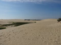 Jockey’s Ridge near Nags Head