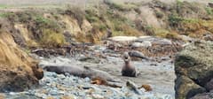 San Simeon on the Pacific Coast Highway route