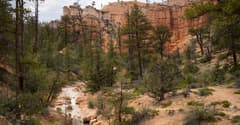 Navajo Loop near Bryce Canyon