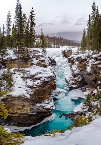 Athabasca Falls in Jasper