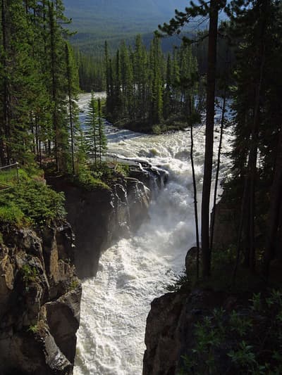 Sunwapta Falls in Jasper