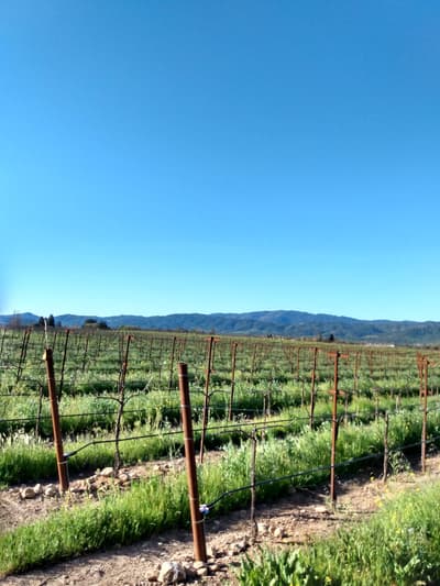 Silverado Trail in Napa