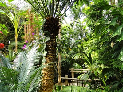 Denver Botanic Gardens in Denver