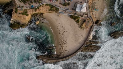 Children's Pool in La Jolla