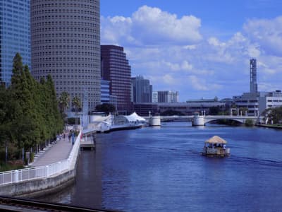 Tampa Riverwalk in Downtown Tampa & the Riverwalk