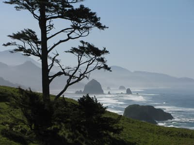 Ecola State Park in Cannon Beach
