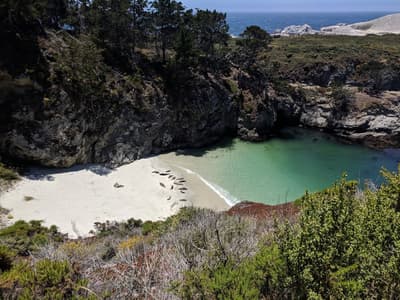 Point Lobos State Natural Reserve in Monterey & Carmel