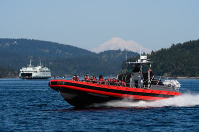 Whale watching from Friday Harbor in San Juan Island