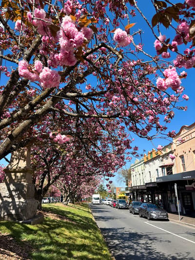 Leura Mall in Blue Mountains