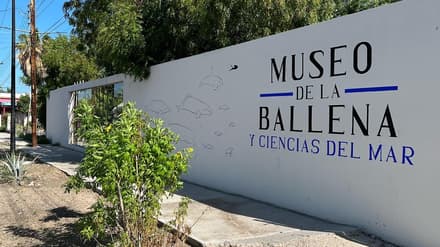 Museo de la Ballena in La Paz