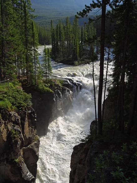 Sunwapta Falls in Jasper