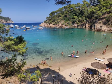 Platja d'Aiguablava in Calella de Palafrugell