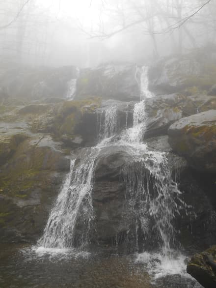 Dark Hollow Falls Trail in Shenandoah