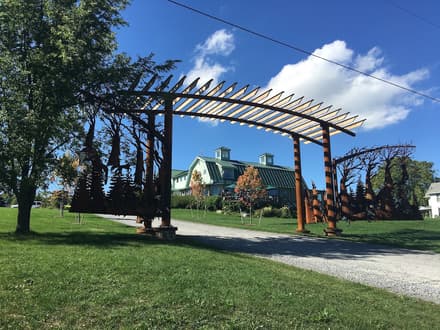 Fox Run Vineyards in Seneca Lake