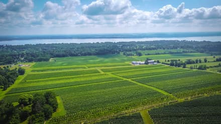 Ravines Wine Cellars in Seneca Lake