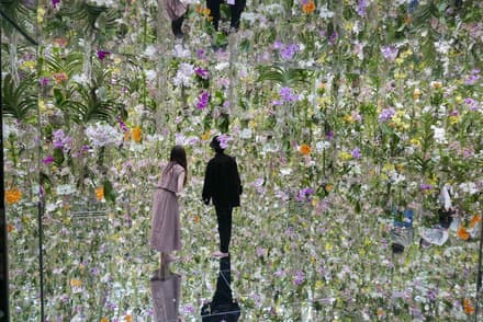 teamLab Planets TOKYO in Tokyo