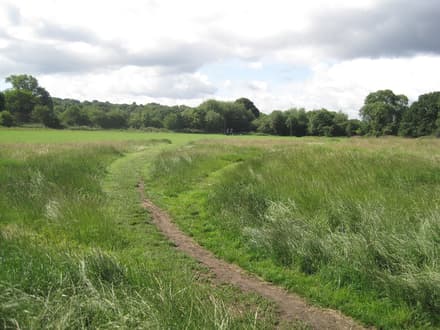 Hampstead Heath in London