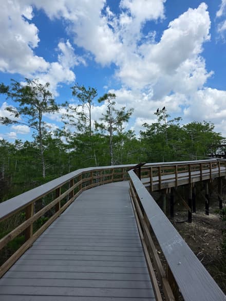 Pa-hay-okee Overlook in Everglades
