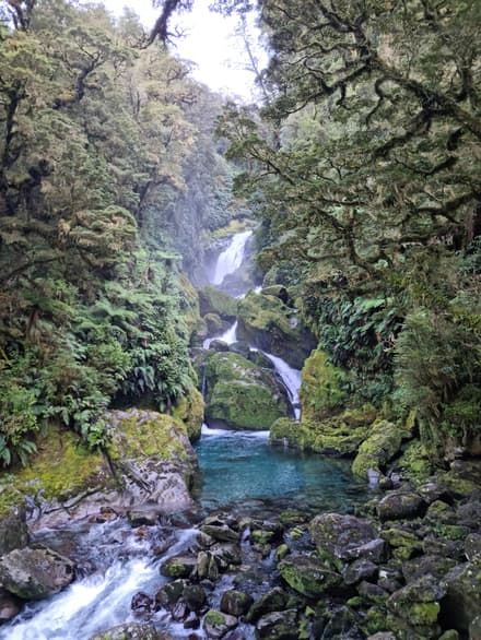 Milford Track in Milford Sound