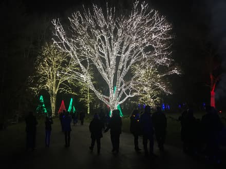 Newfields in Broad Ripple