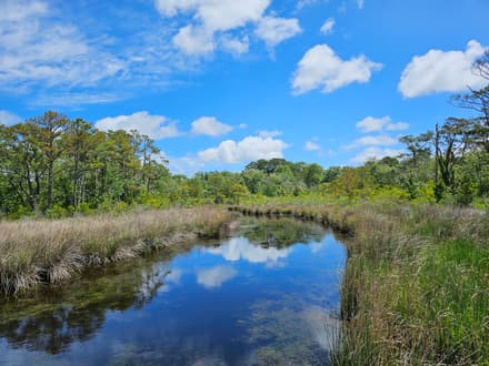 Currituck Banks Reserve Trail in Corolla