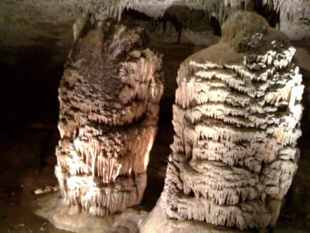 Fantastic Caverns in Springfield