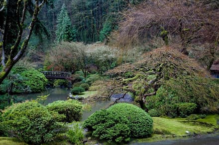 Portland Japanese Garden in Portland