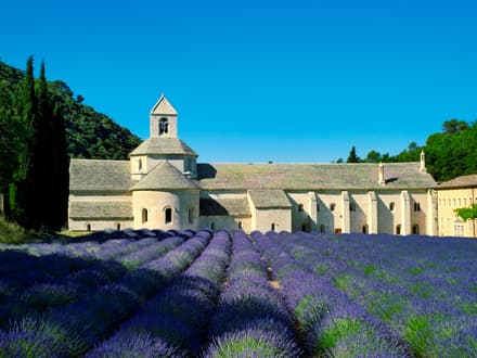Abbaye Notre-Dame de Sénanque in Avignon