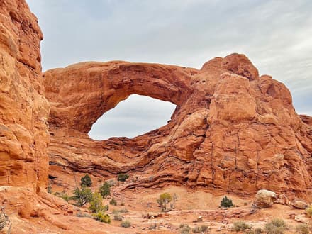 Windows Section in Arches
