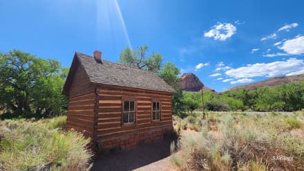Fruita Orchards in Capitol Reef
