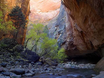 The Narrows in Zion