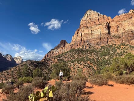 Watchman Trail in Zion NP