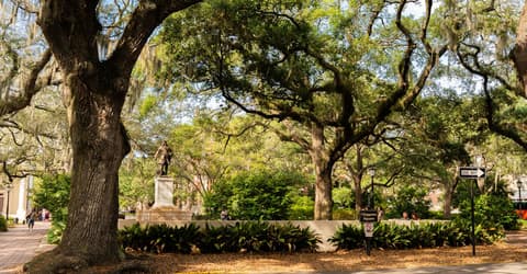 Savannah, where this leg ends