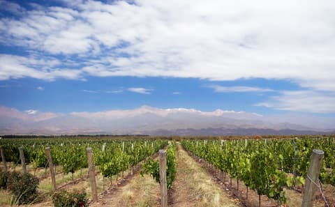 Valle de Uco, where this leg ends