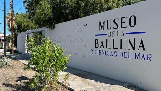 Museo de la Ballena in La Paz