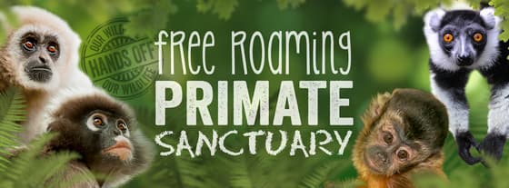 Monkeyland in Knysna & Plettenberg Bay