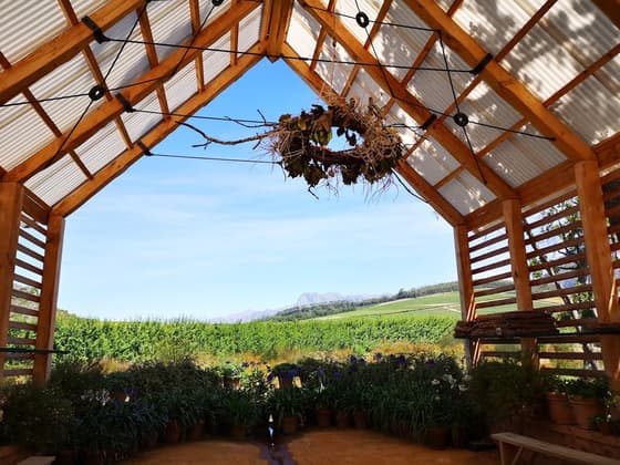 Babylonstoren in Stellenbosch & Franschhoek