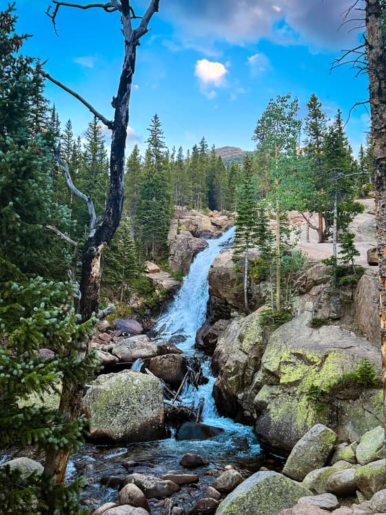 Alberta Falls in Rocky Mountain NP