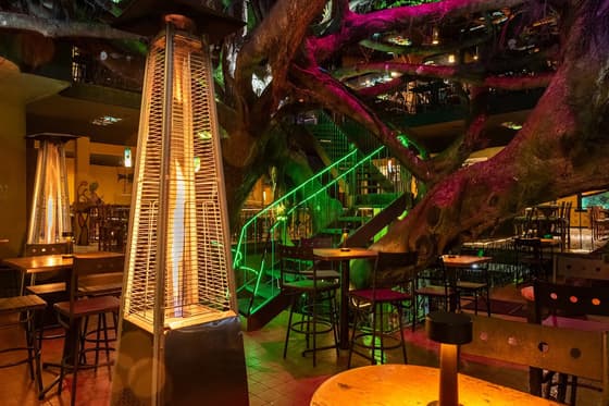 Tree House Restaurant in Monteverde
