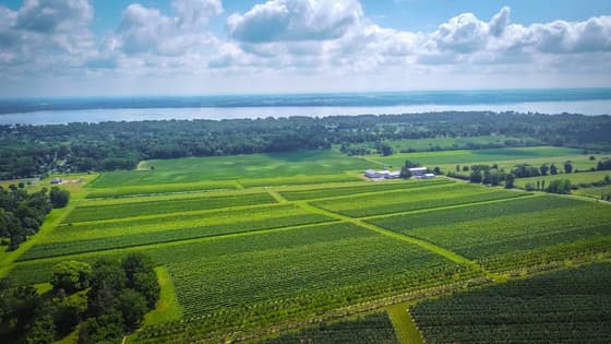 Ravines Wine Cellars in Seneca Lake