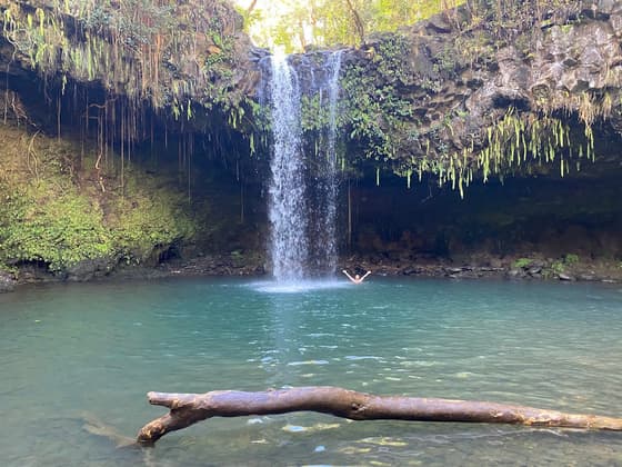 Twin Falls in Maui