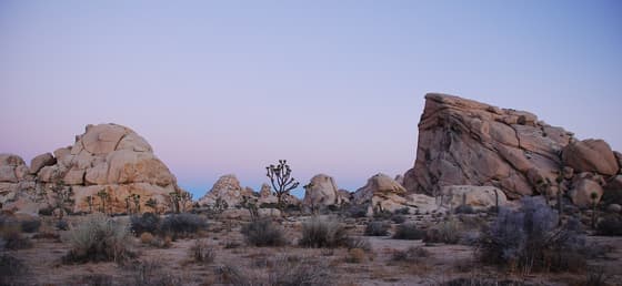 Joshua Tree National Park in Joshua Tree