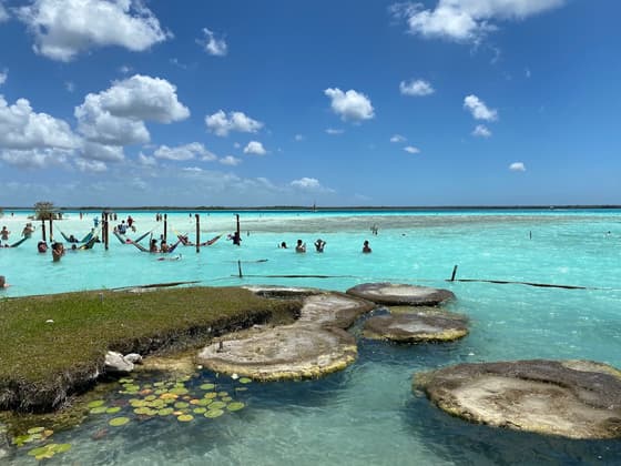 Cenote Cocalitos in Bacalar