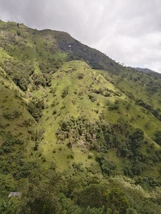 Little Adam's Peak in Ella