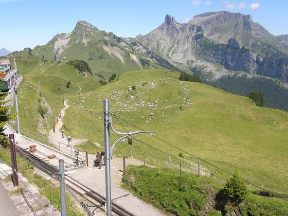 Schynige Platte in Interlaken