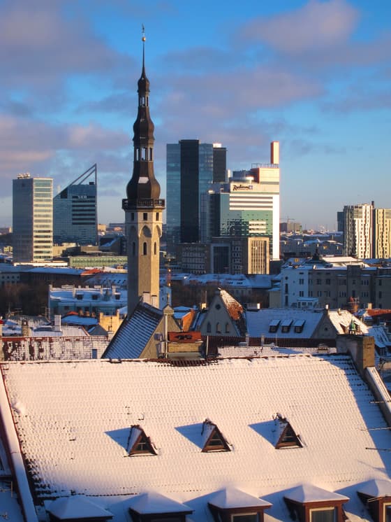 Kohtuotsa viewing platform in Tallinn