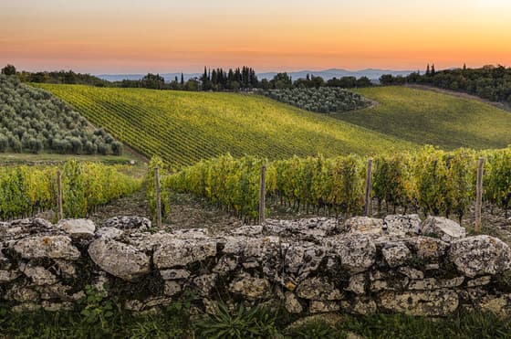 Castello di Ama in Chianti