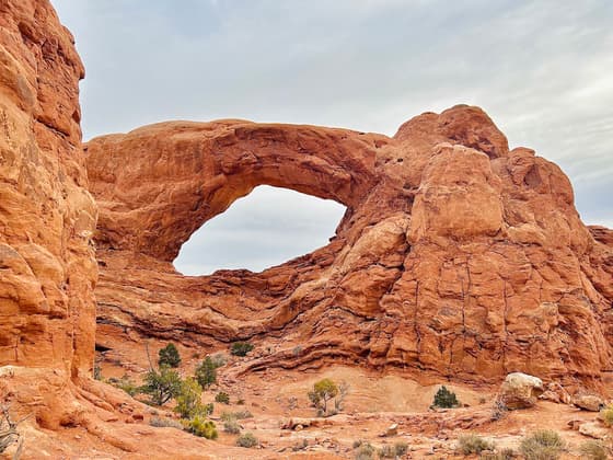 Windows Section in Arches
