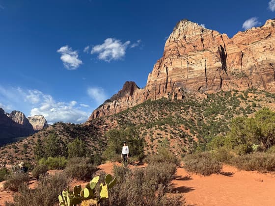 Watchman Trail in Zion NP