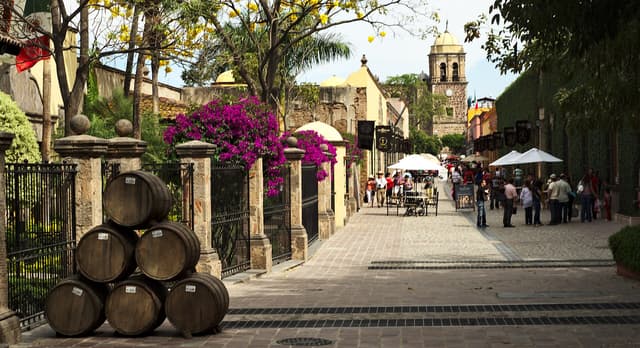 Tequila, a stop on TripsCircle curated routes
